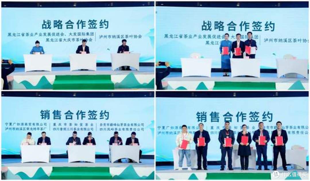纳溪特早茶新茶上市推介活动圆满举办,奏响中国早春茶产业最强音