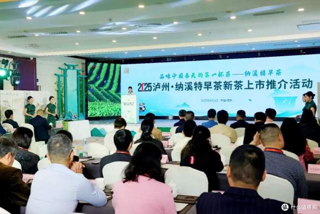 纳溪特早茶新茶上市推介活动圆满举办,奏响中国早春茶产业最强音
