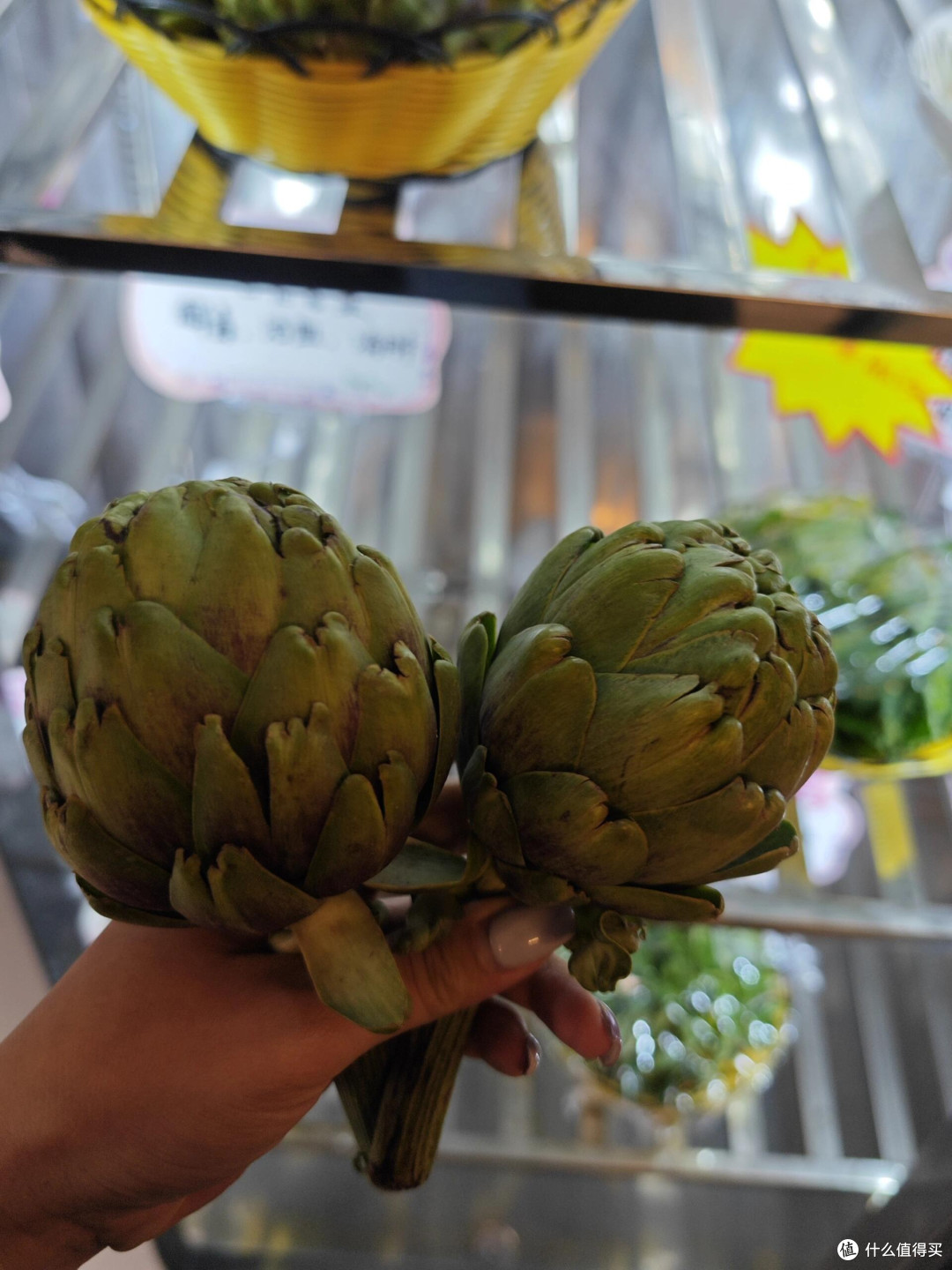 素有“蔬菜之皇”的洋蓟排骨火锅也是吃上了