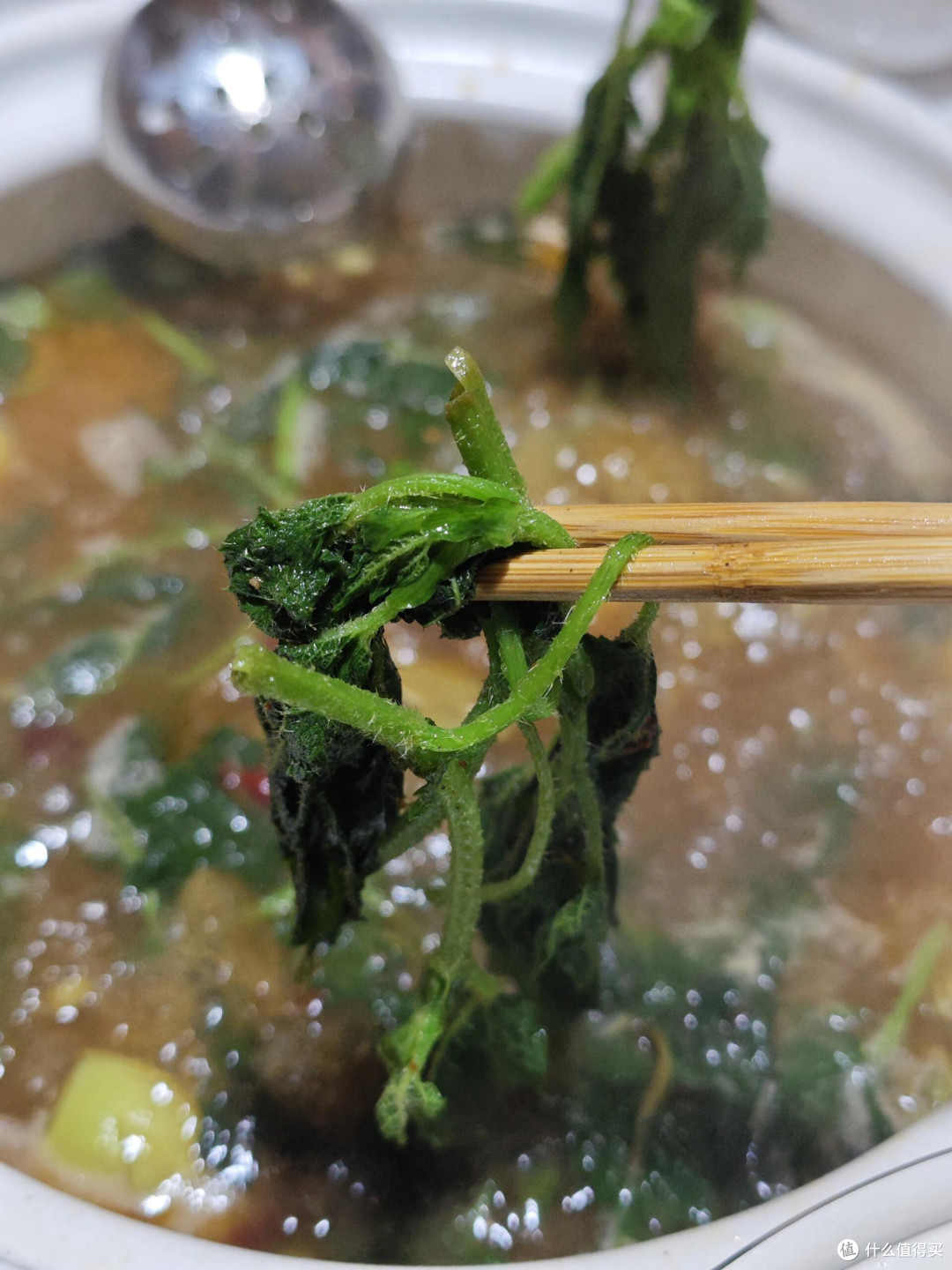 素有“蔬菜之皇”的洋蓟排骨火锅也是吃上了