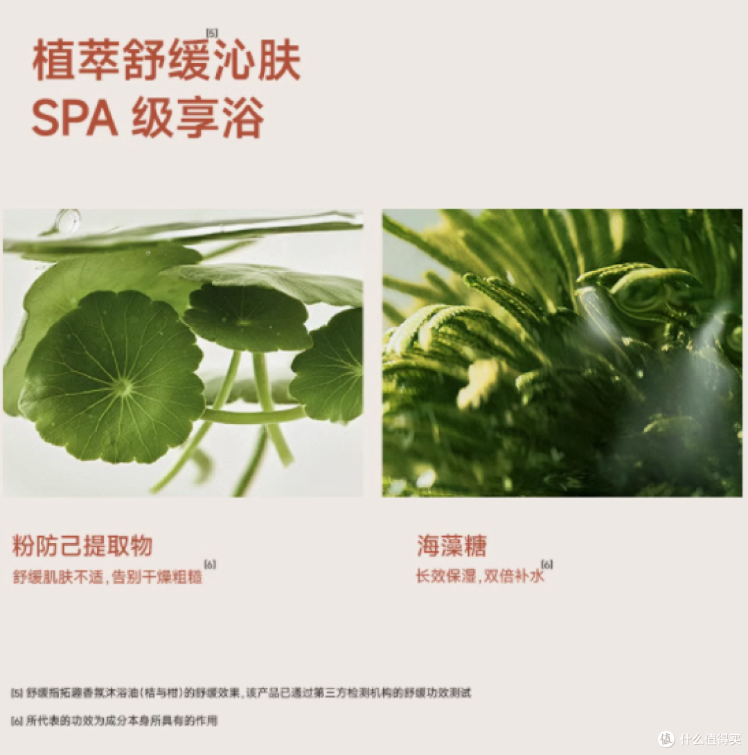 一瓶开启肌肤焕新之旅 —— 拓趣香氛沐浴油 400ML