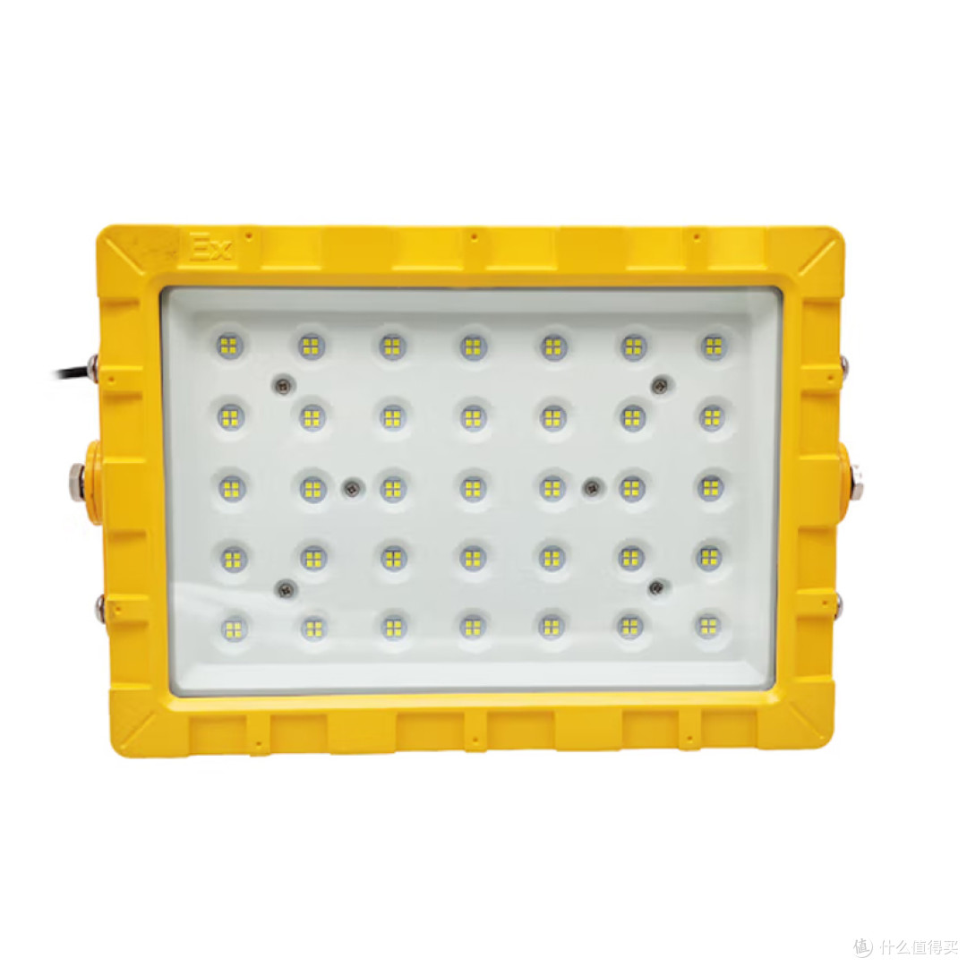 ZY8165-100W LED防爆泛光灯