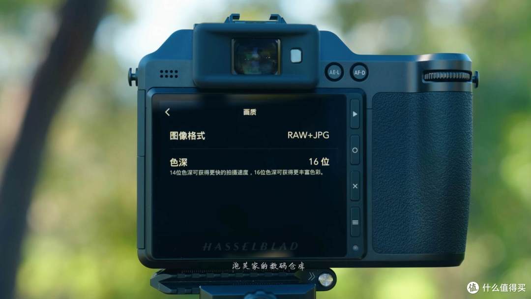新手入门机?哈苏X2D 100C深度评测 1亿像素+AI 5万4让你变老法师