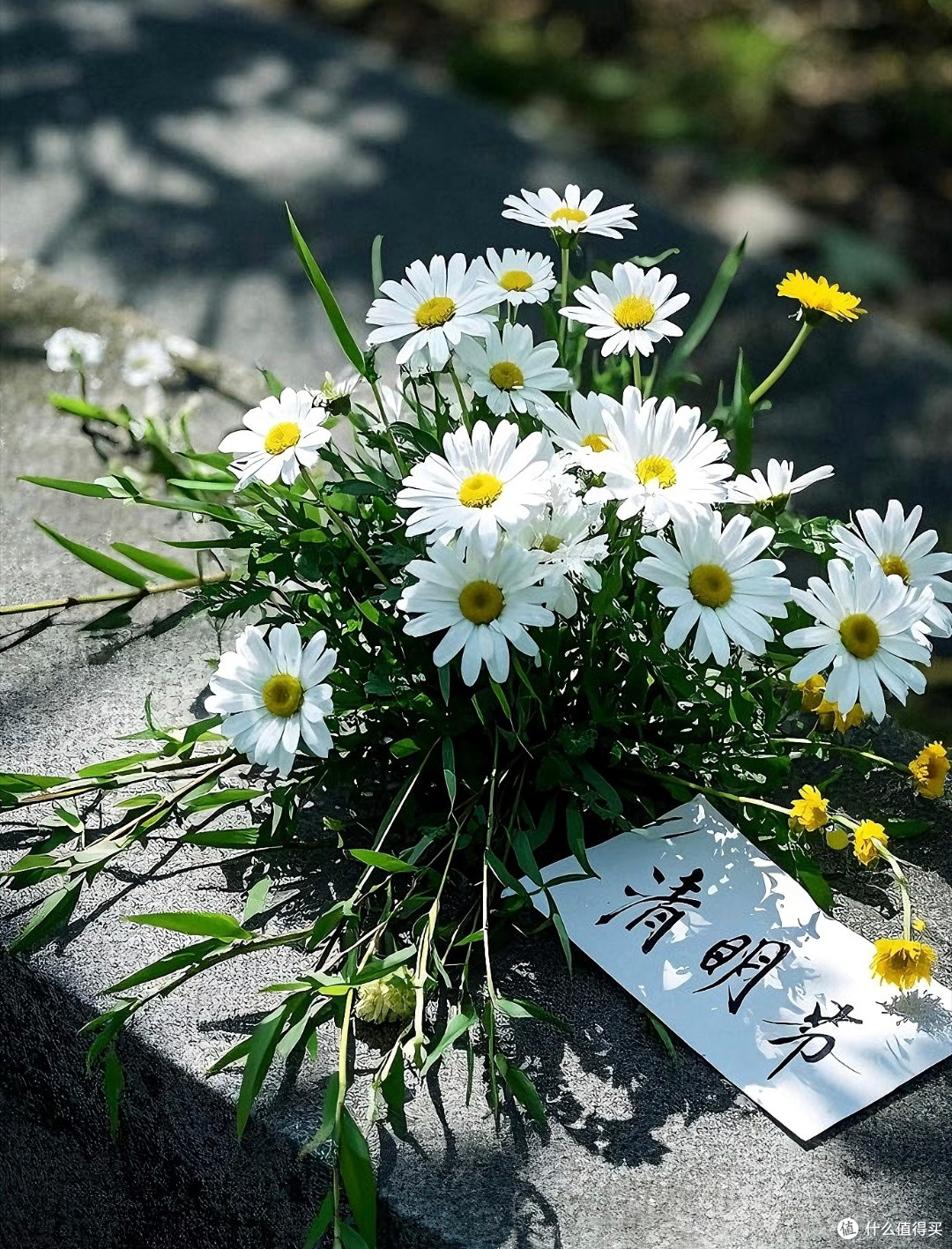 清明祭祀用品精选:鲜花,环保香烛,缅怀卡片,文明祭扫新风尚