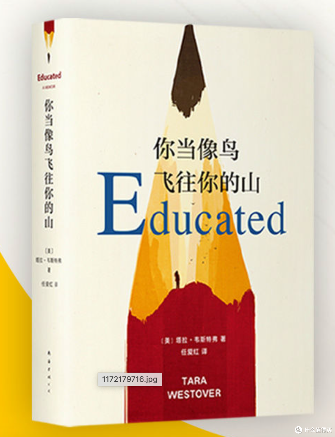 读《你当像鸟飞往你的山》：一场震撼心灵的阅读之旅​