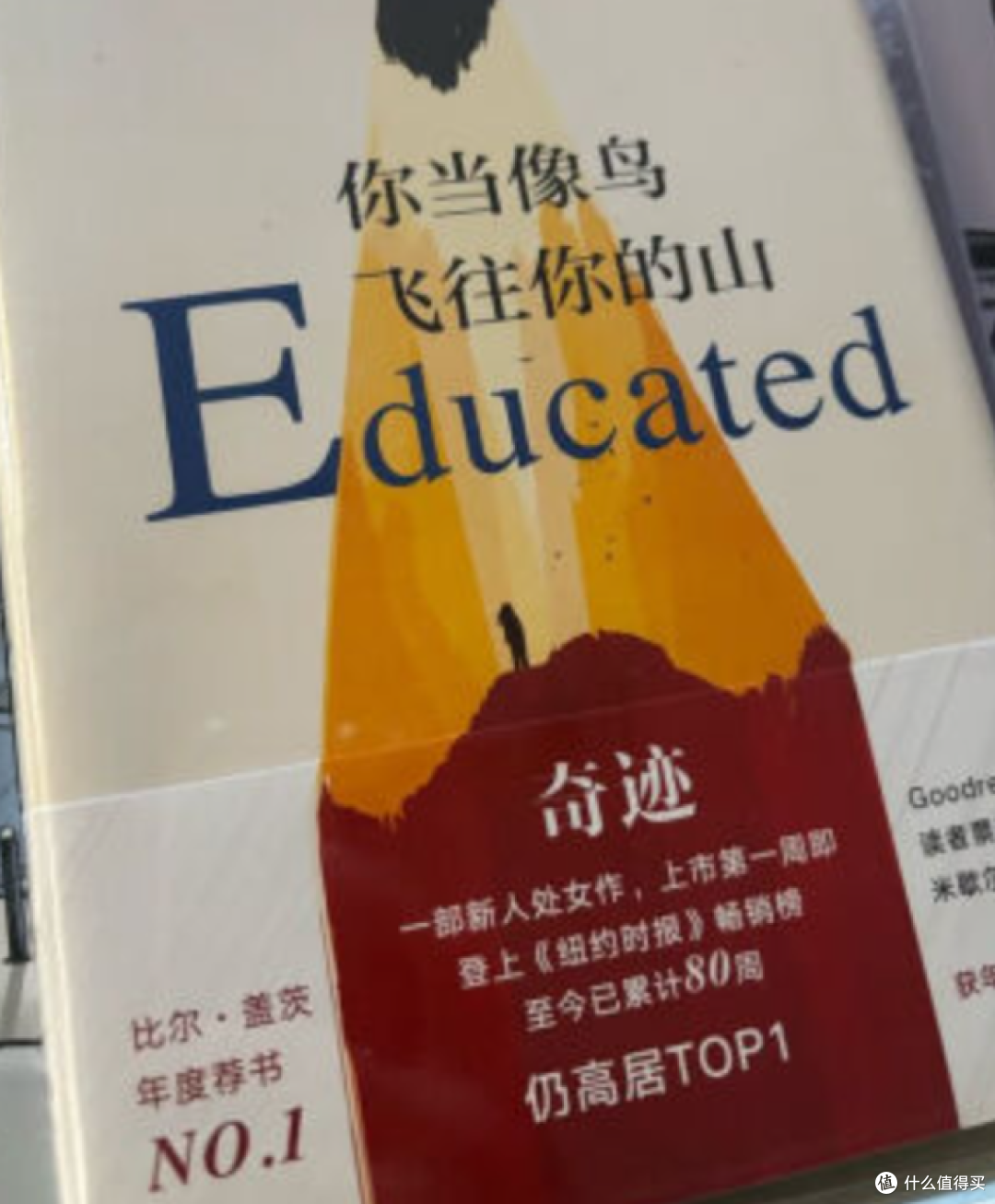 读《你当像鸟飞往你的山》：一场震撼心灵的阅读之旅​