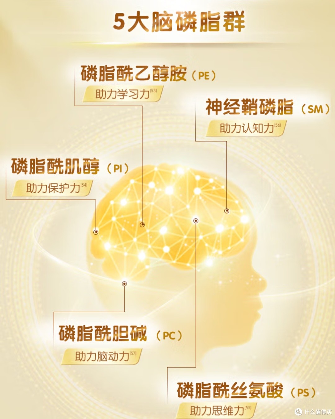 宝宝营养升级,伊利金领冠珍护三代OPO奶粉助力健康成长!