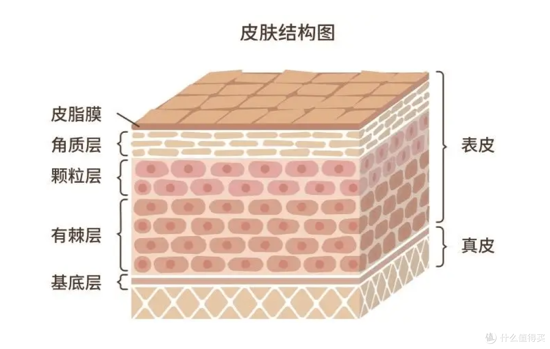 安全与效果兼得?这份20年匠心的纹绣色料答案请收好