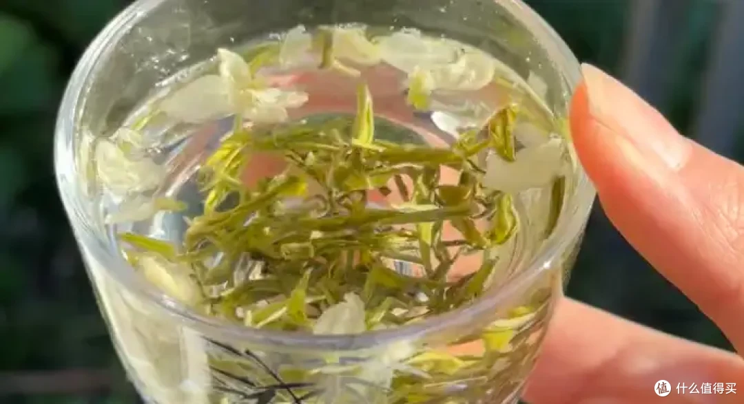 十大热门茉莉花茶品牌排名!