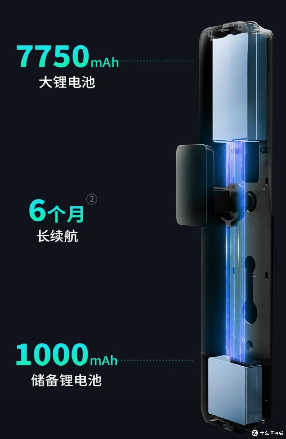 图片来源于网络