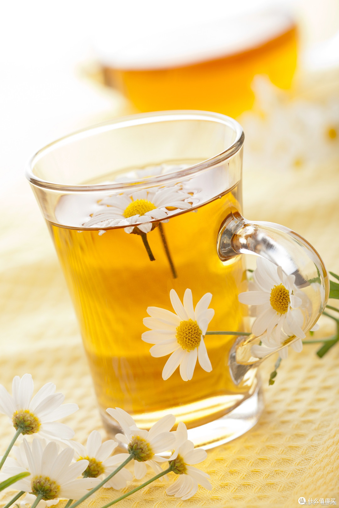 清明至，菊花茶里藏着养生小秘密