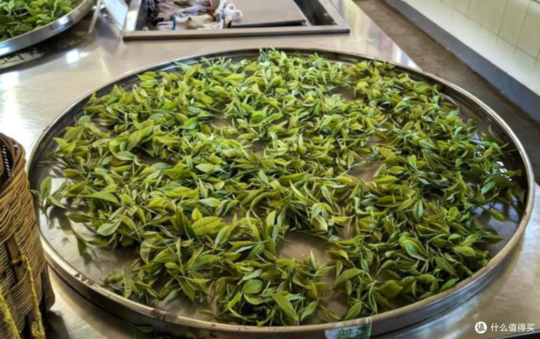 茶马古道上的慢时光，普洱的味觉与心灵之旅