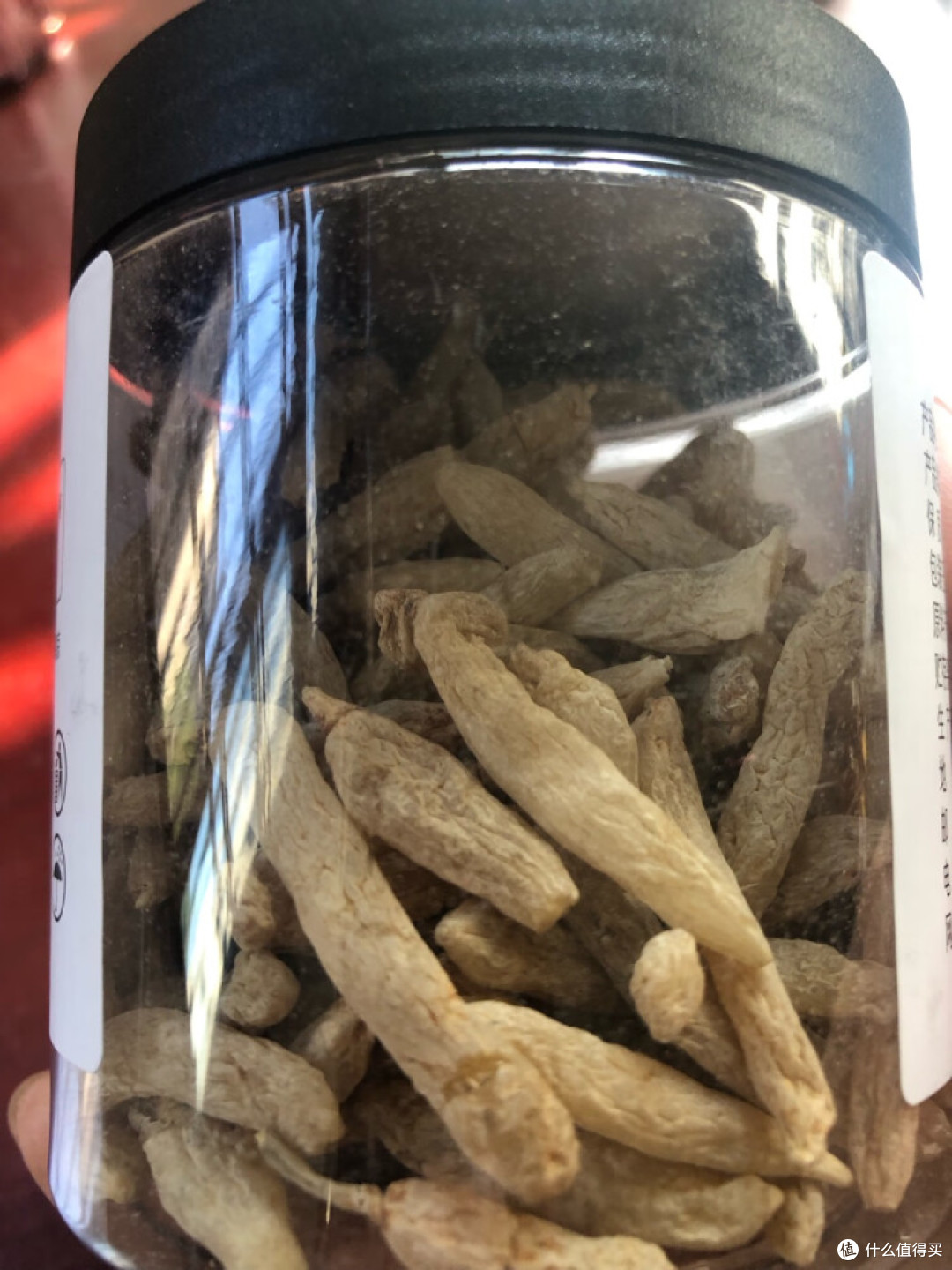 春天泡点麦冬