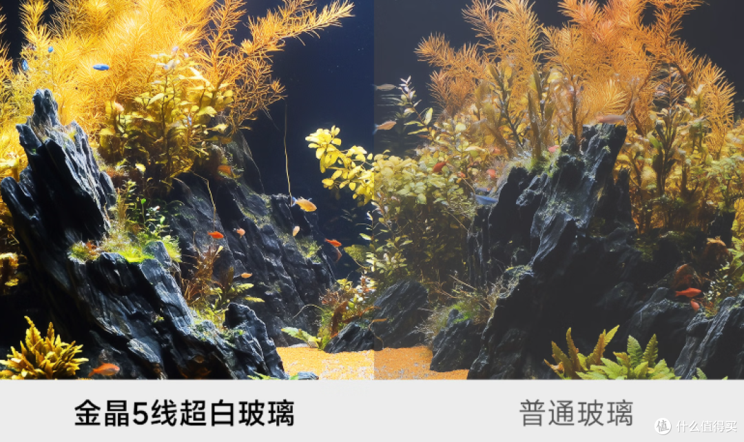 从“养鱼小白”到“养鱼达人”,只差一个“当贝智能生态鱼缸”