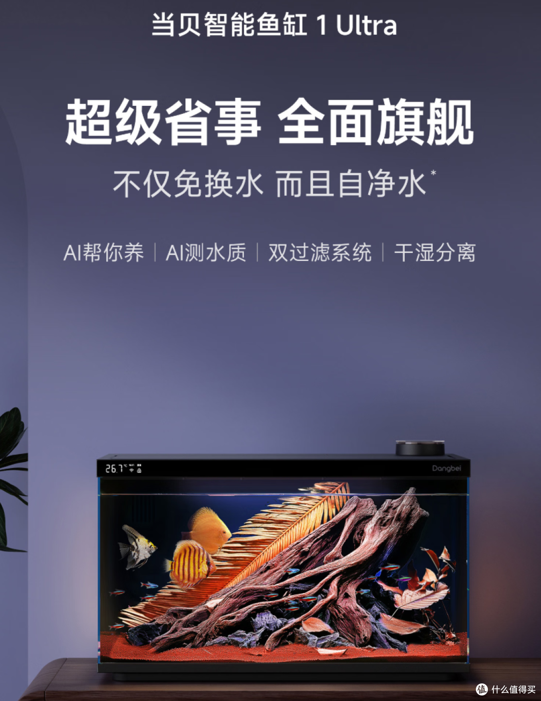 从“养鱼小白”到“养鱼达人”,只差一个“当贝智能生态鱼缸”