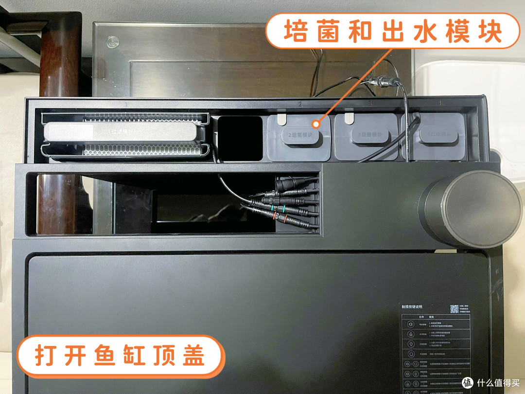 从“养鱼小白”到“养鱼达人”,只差一个“当贝智能生态鱼缸”