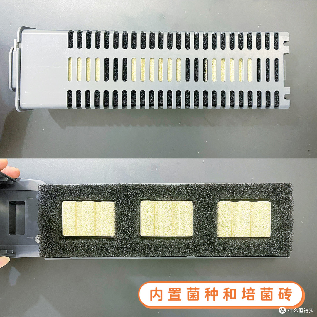 从“养鱼小白”到“养鱼达人”,只差一个“当贝智能生态鱼缸”