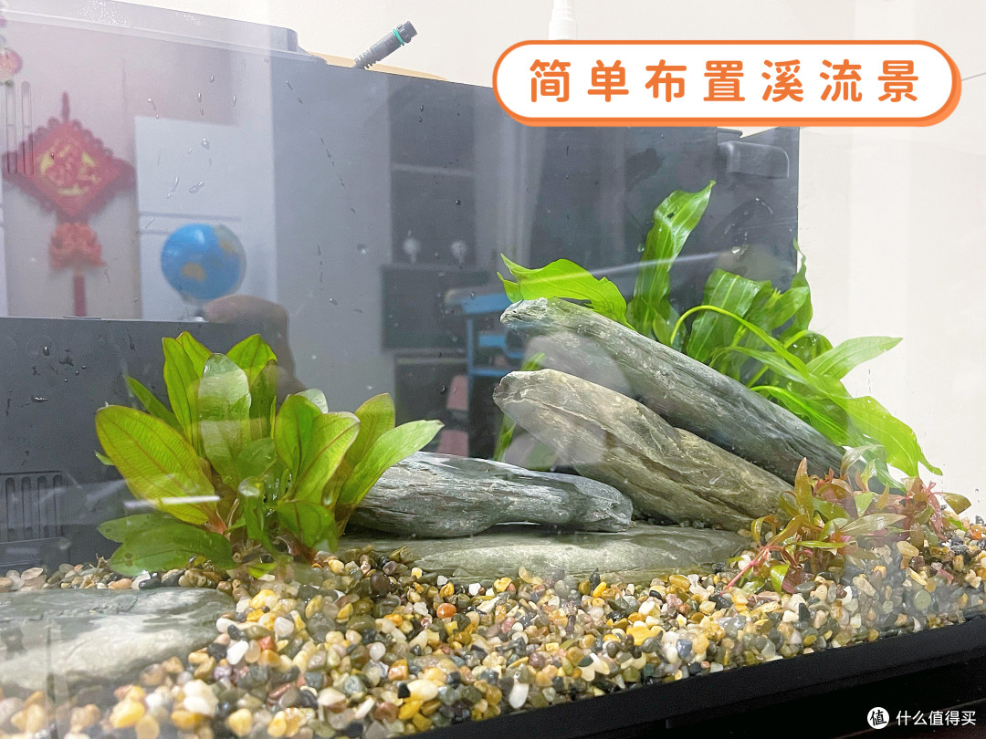 从“养鱼小白”到“养鱼达人”,只差一个“当贝智能生态鱼缸”