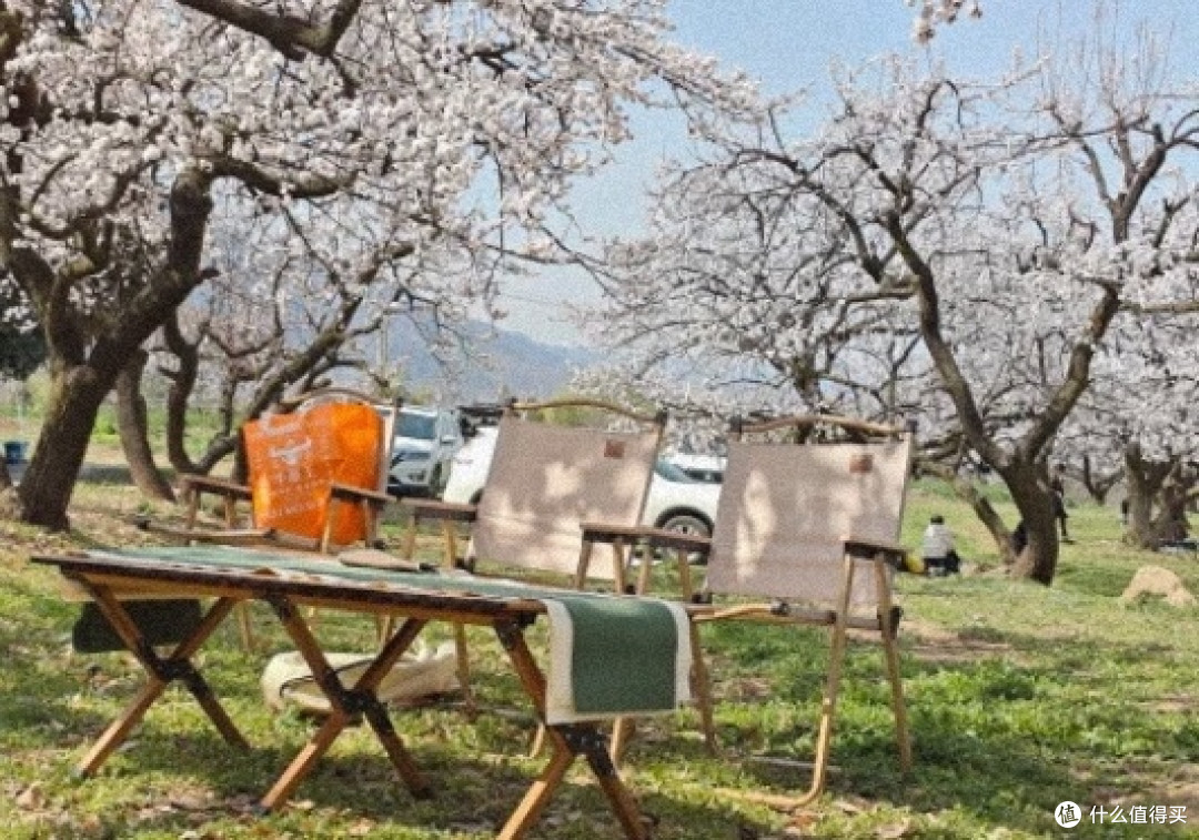 清明踏青装备全攻略：从野餐垫到登山杖，哪些是你真正需要的？