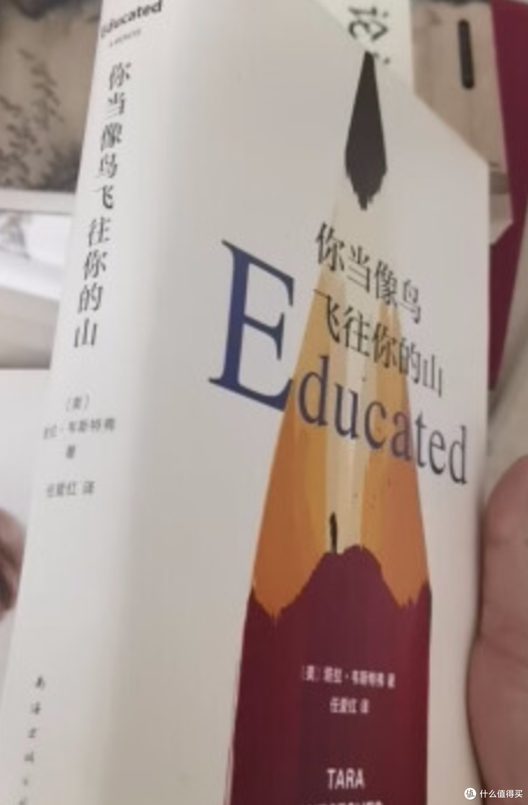 🦋蝴蝶的教育,不如蝴蝶的蜕变!