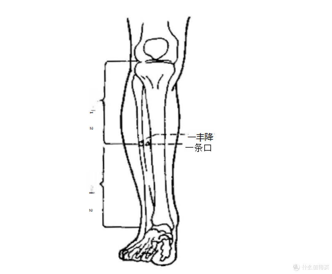 在外膝眼与外踝尖连线的中点