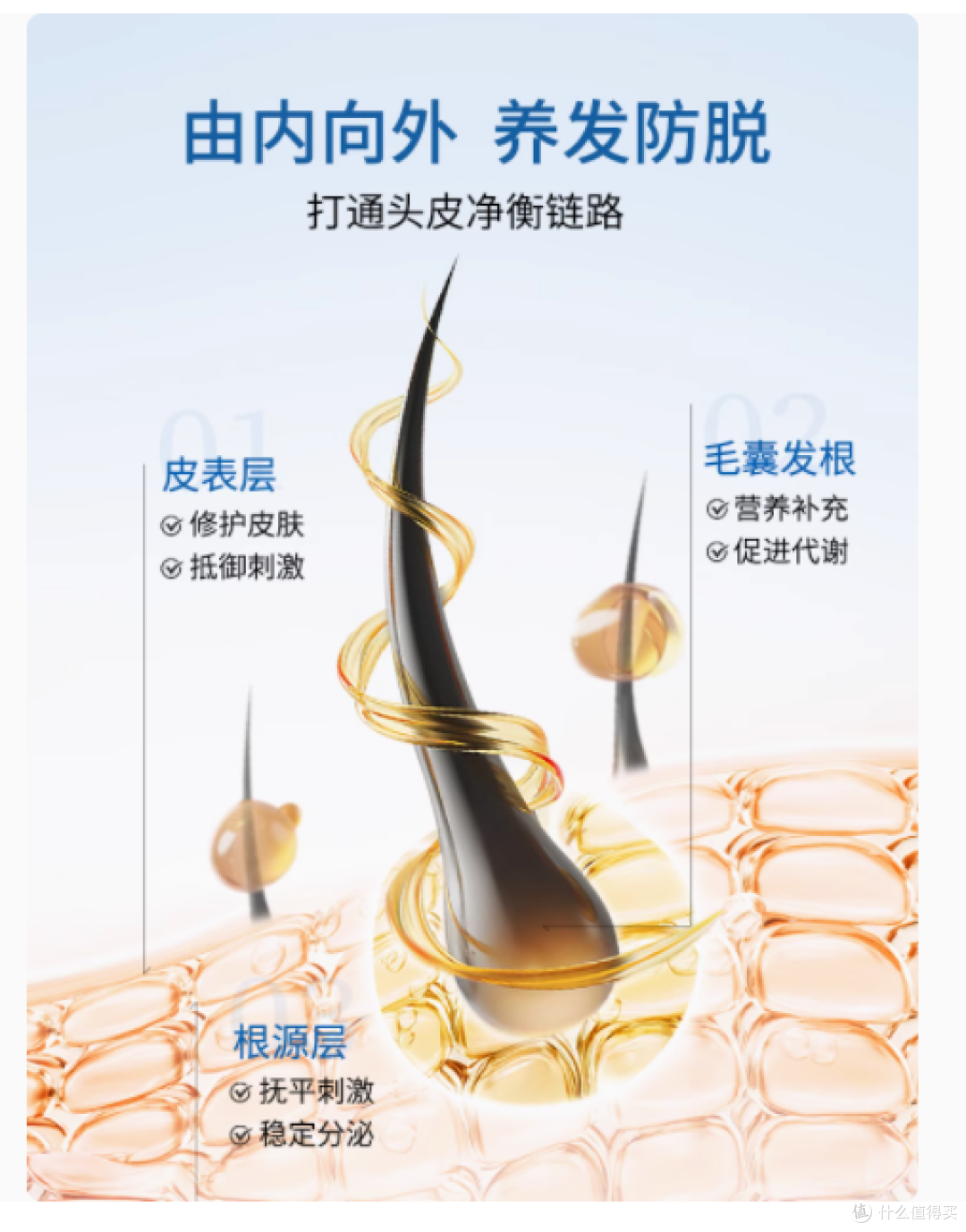 VEL 诺蓝宝海豹油：肌肤的深海润泽密码