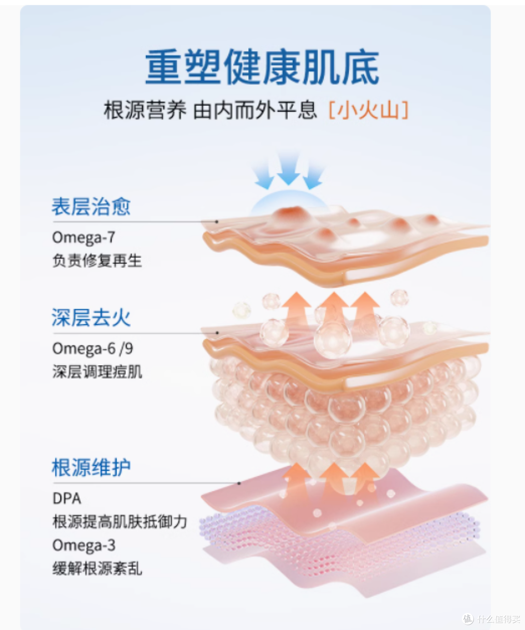 VEL 诺蓝宝海豹油：肌肤的深海润泽密码