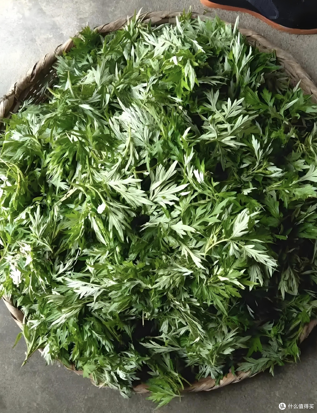 咬一口春天，解锁蒿子粑粑的春日密码