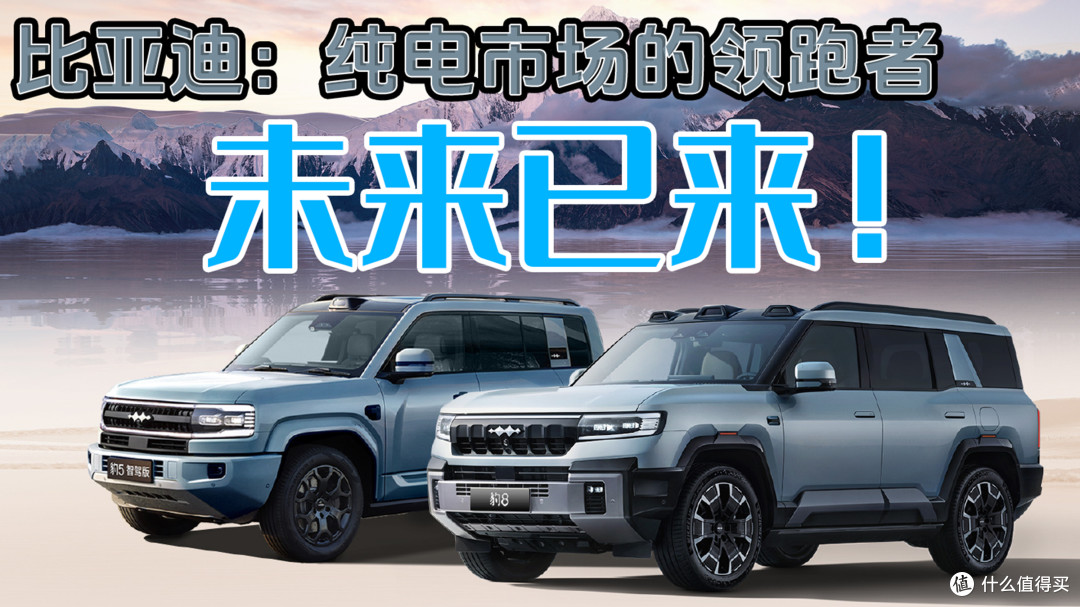 比亚迪：纯电市场的领跑者，未来已来！