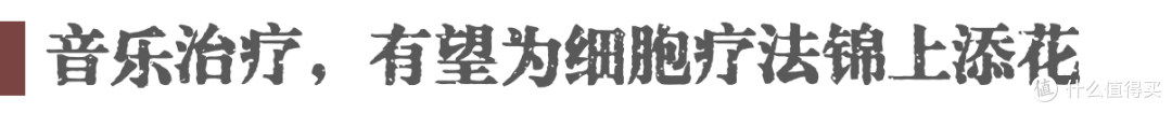 细胞能听见声音吗?科学家用声波治疗受损细胞的实验