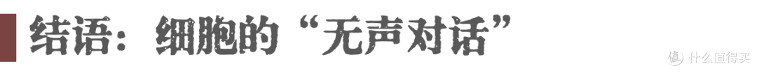 细胞能听见声音吗?科学家用声波治疗受损细胞的实验