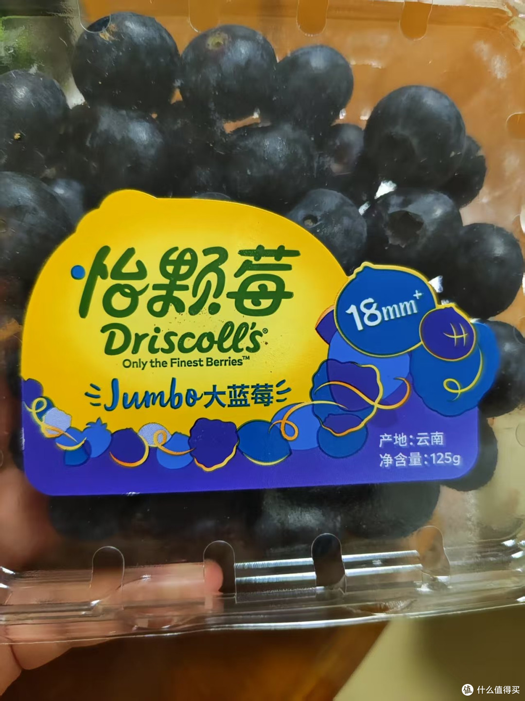 云南蓝莓正当季,怡颗莓vs云南山珍,哪个更好吃