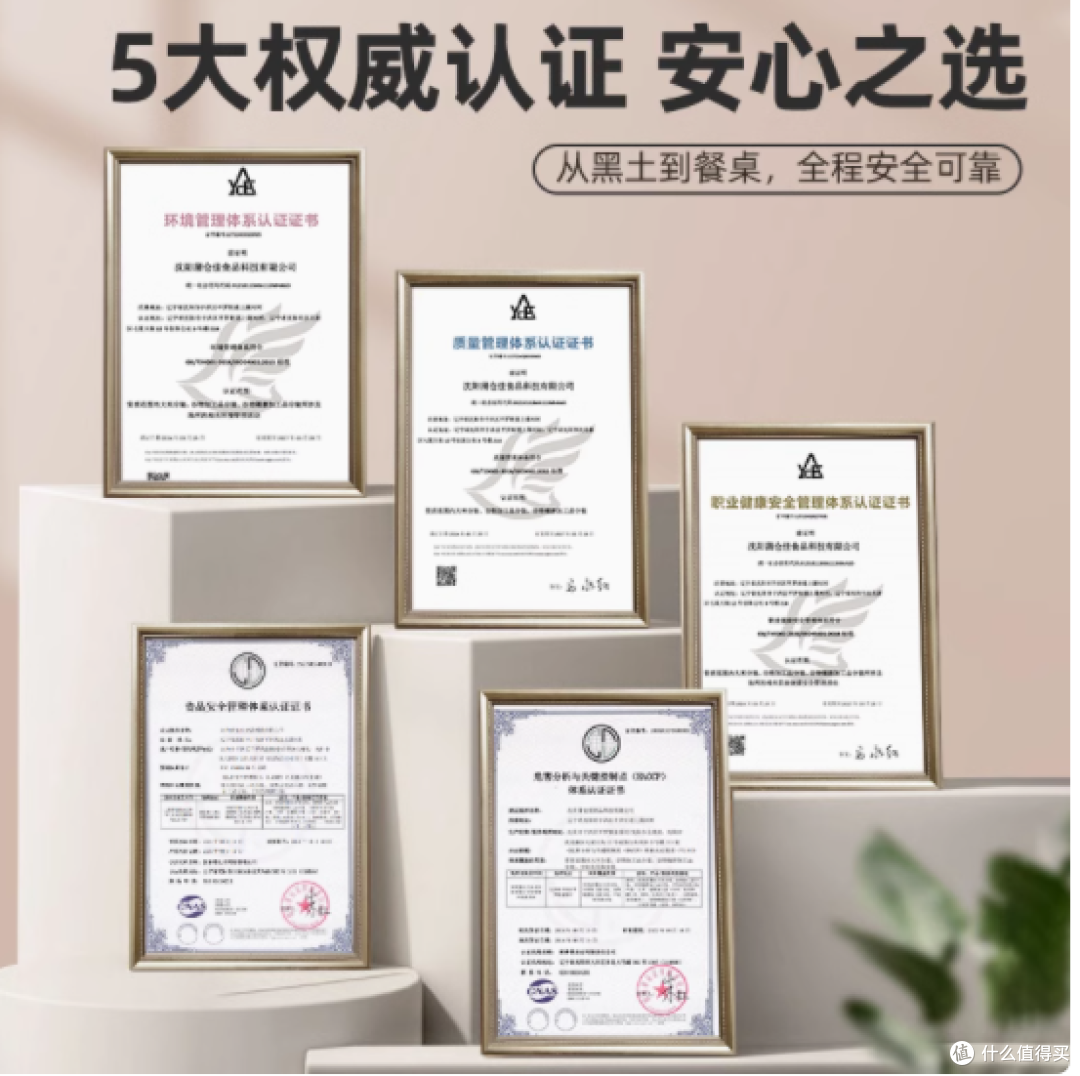 东北当季新产黄豆:自然馈赠,健康首选