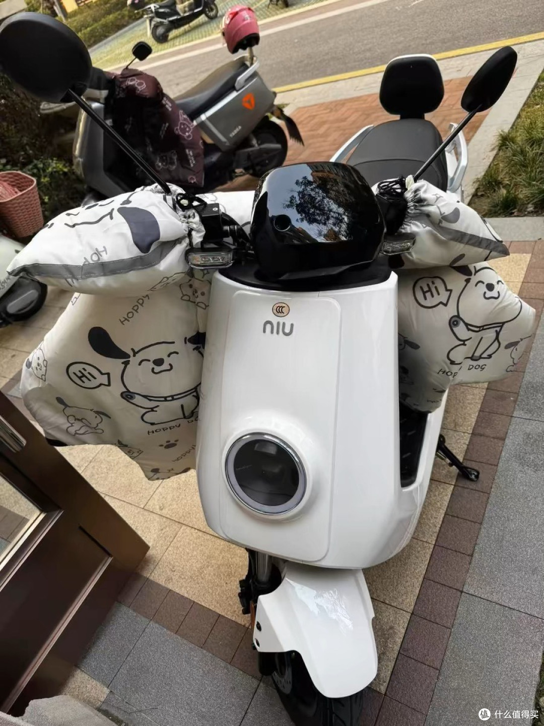 我的周末撒欢搭子