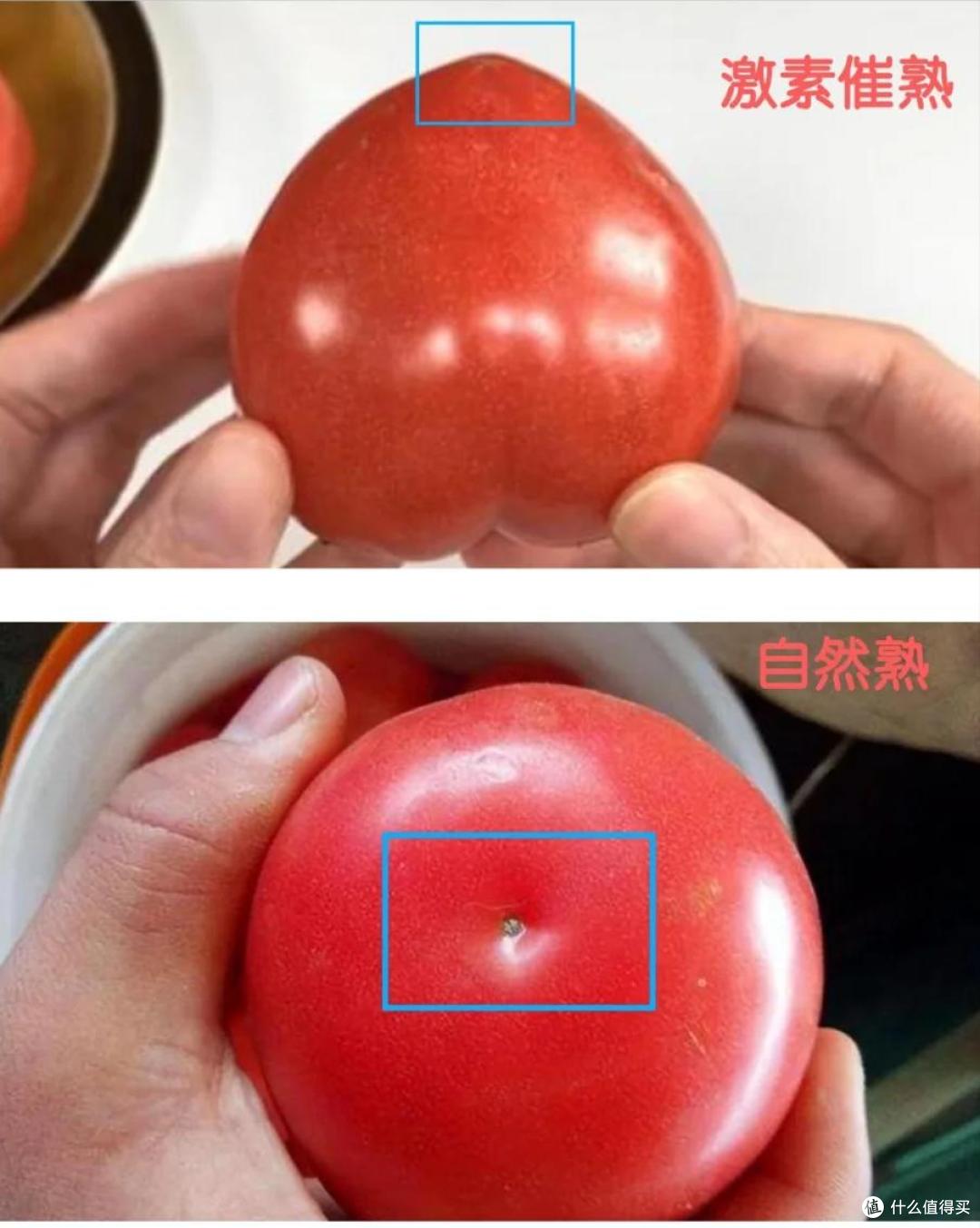 老一辈的嘴是真严啊!这些实用买菜技巧,为什么不早点告诉我