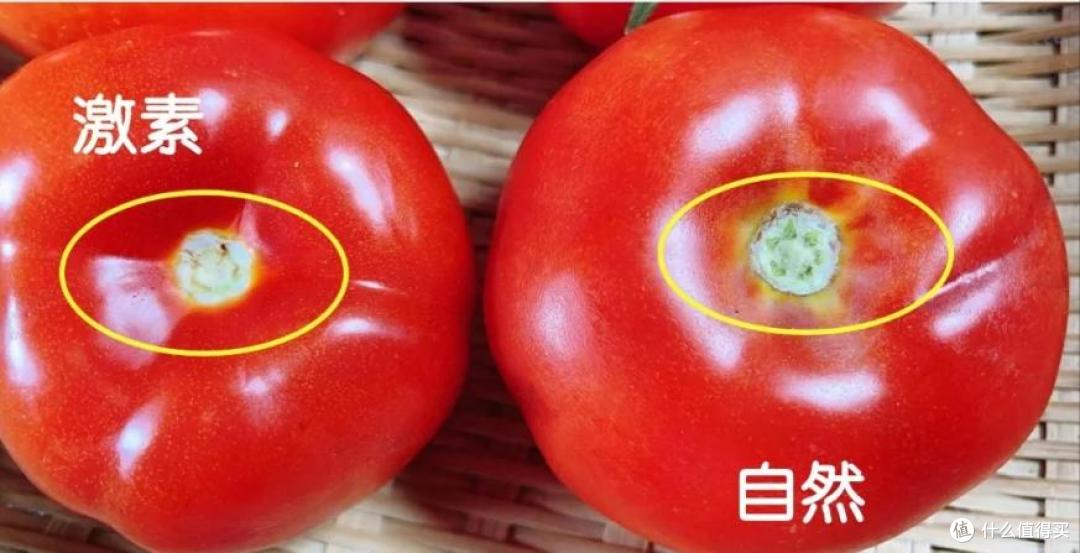 老一辈的嘴是真严啊!这些实用买菜技巧,为什么不早点告诉我