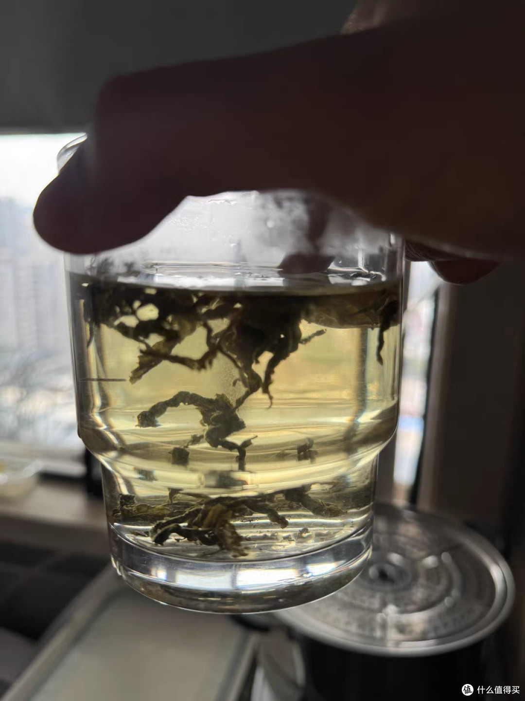 科学选择健康产品,塑造绿色生活新风尚