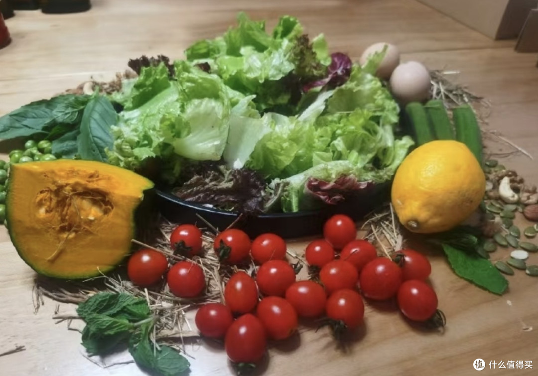 我的健康饮食改造计划:从全食沙拉开始