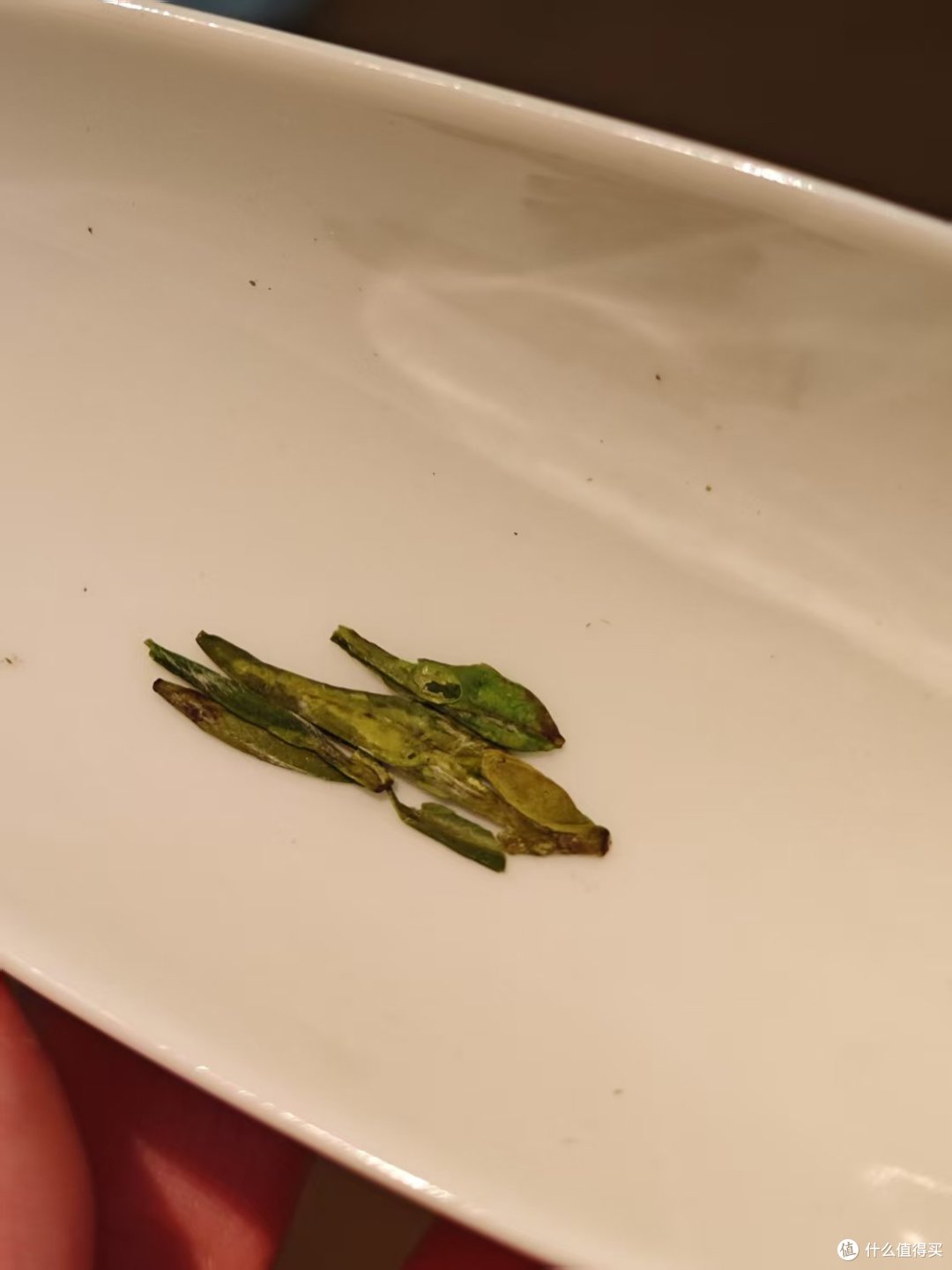 西湖龙井是什么口味?龙井43对比群体种