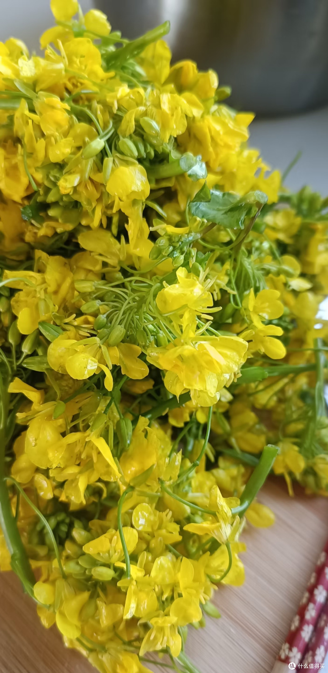 咬一口春天：油菜花饼，春日限定美味