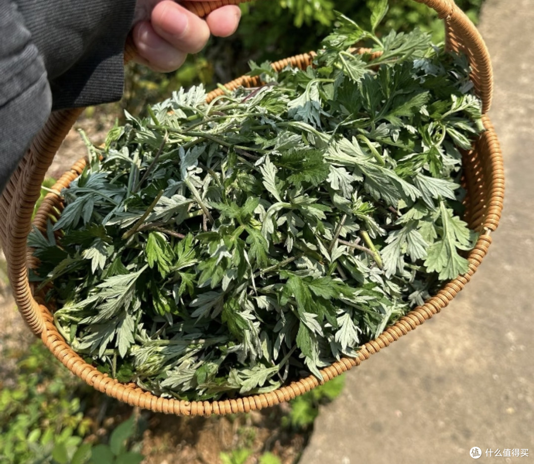 清明美食限定之艾草青团粑粑