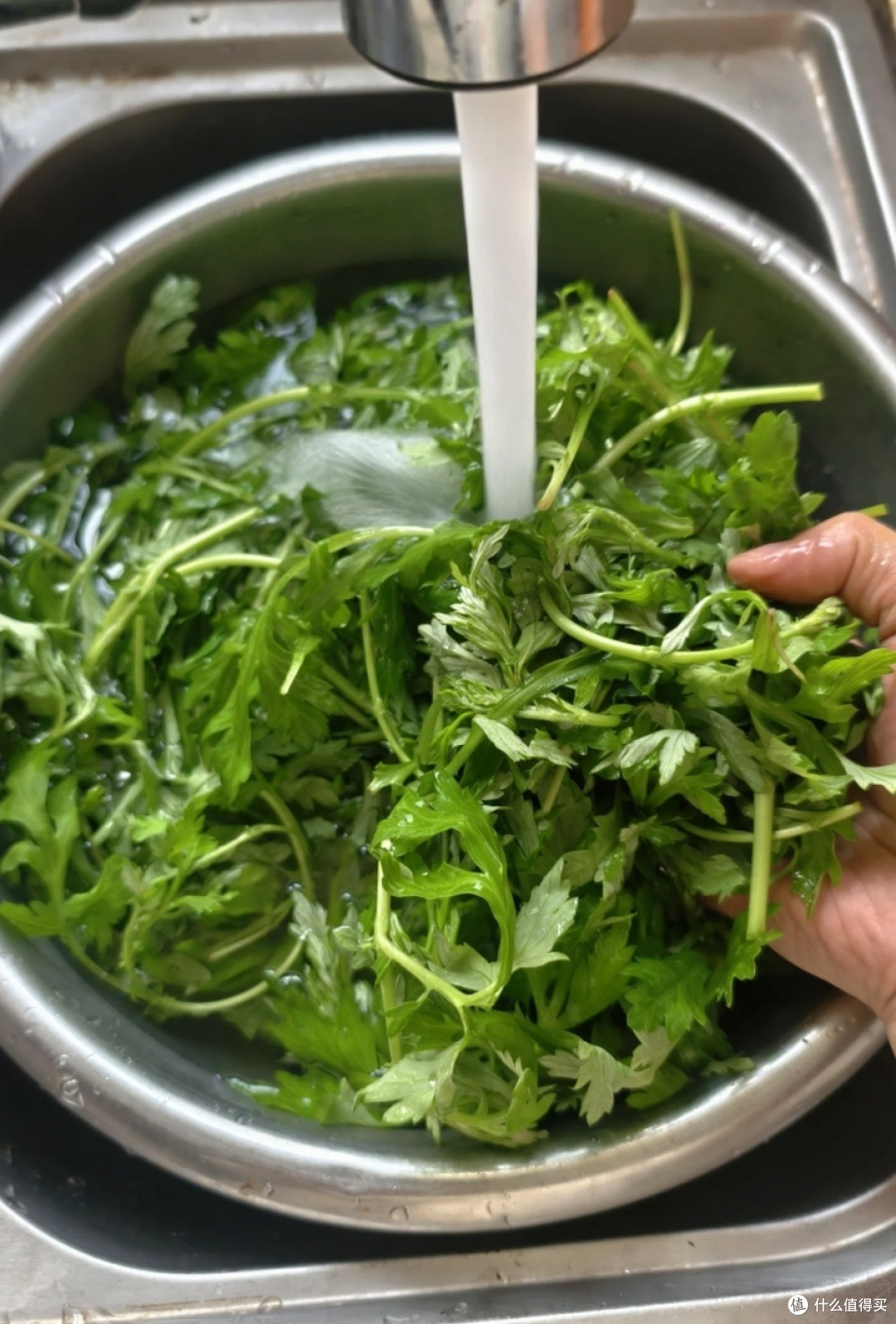 清明美食限定之艾草青团粑粑