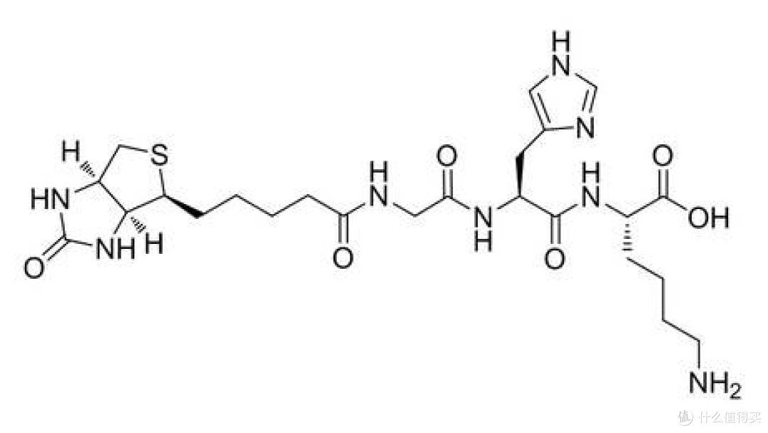 生物素三肽-1/Biotinoyl Tripeptide-1—解决脱发困扰