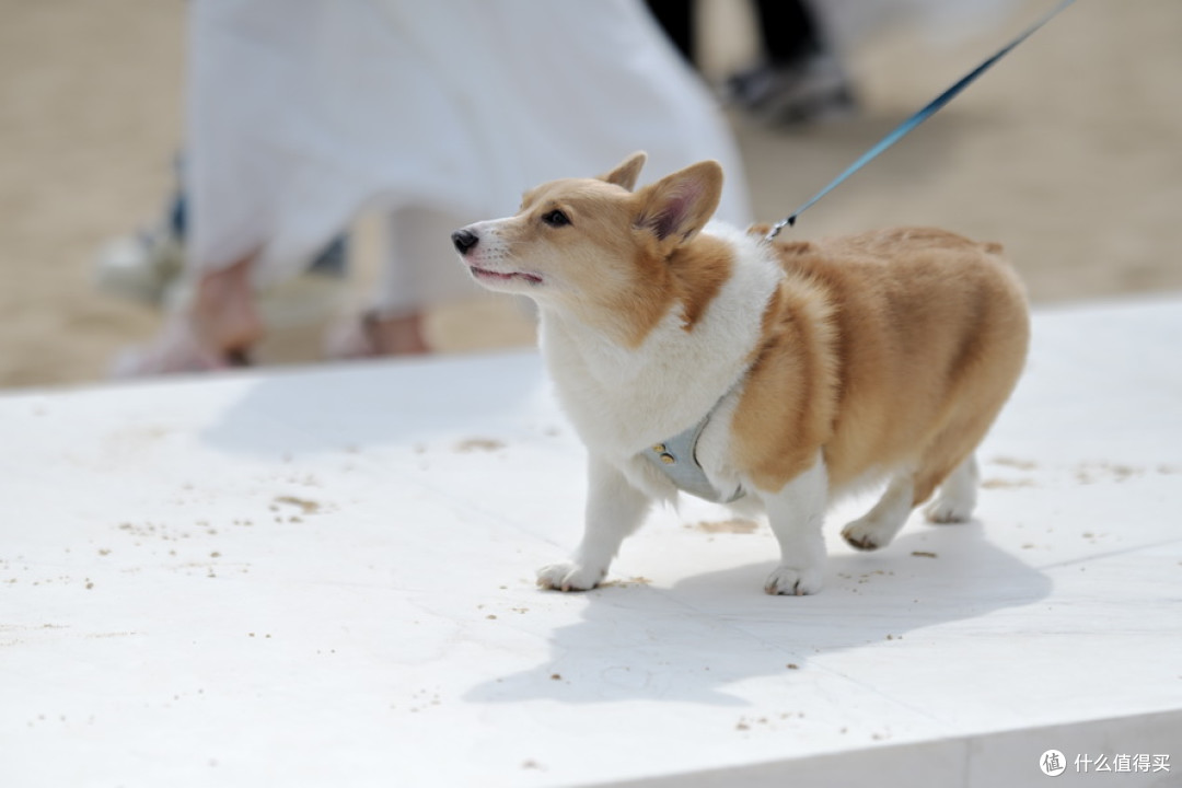 DSC_0743.JPG