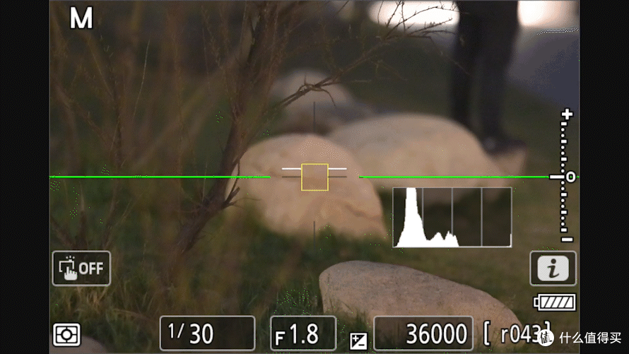 Z5II GIF3.gif