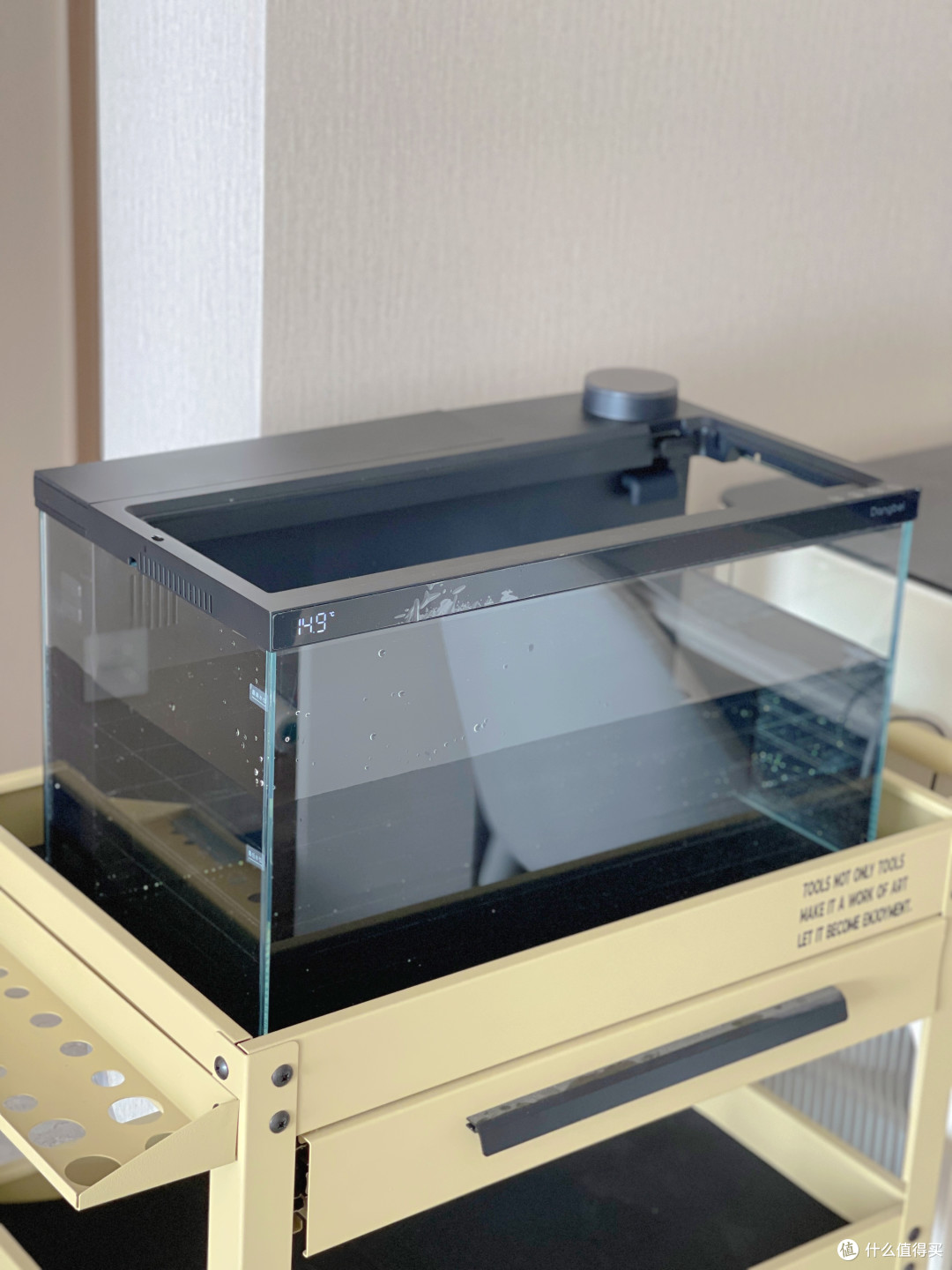 当贝鱼缸1Ultra：把水族馆搬进客厅，get零门槛智能养鱼新体验！