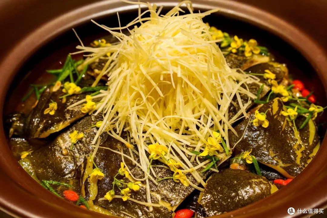 发现一家含氧量极高的酒店,连焦虑都没信号