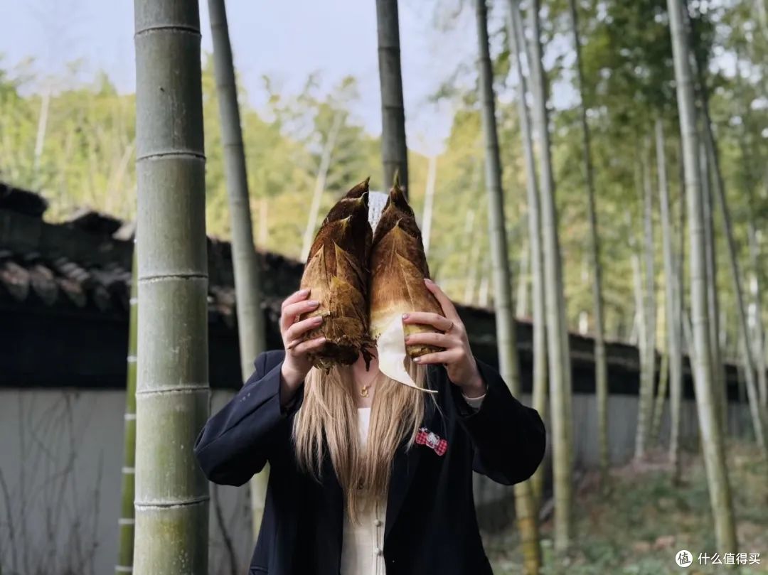 发现一家含氧量极高的酒店,连焦虑都没信号