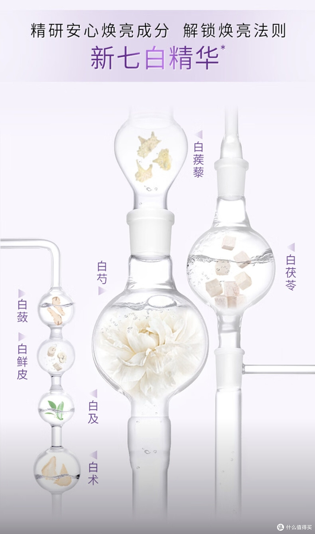 佰草集新七白透亮套装:国货美白礼盒的匠心之作