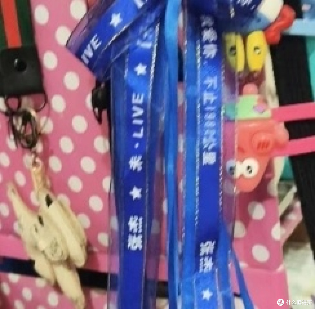未LIVE之旅:不同人格的追星百态